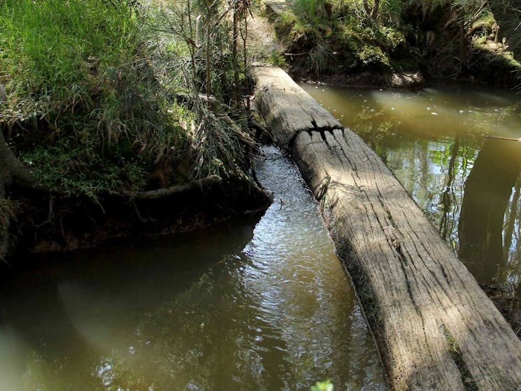 Second Ponds Creek Walk, Rouse Hill Regional Park. Photo: John Yurasek