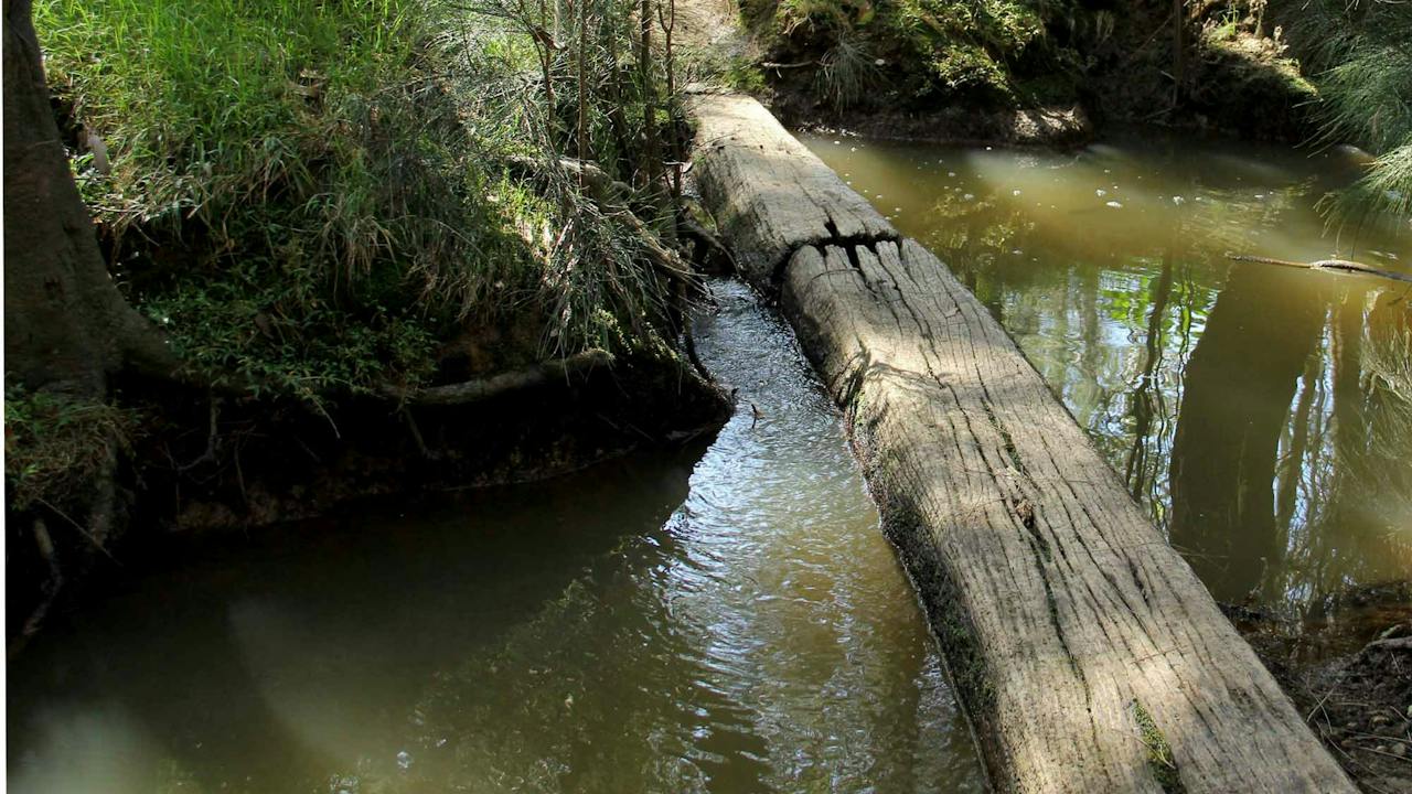 Second Ponds Creek Walk