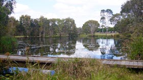 Baldwin Swamp Environmental Park