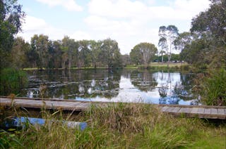 Baldwin Swamp Environmental Park