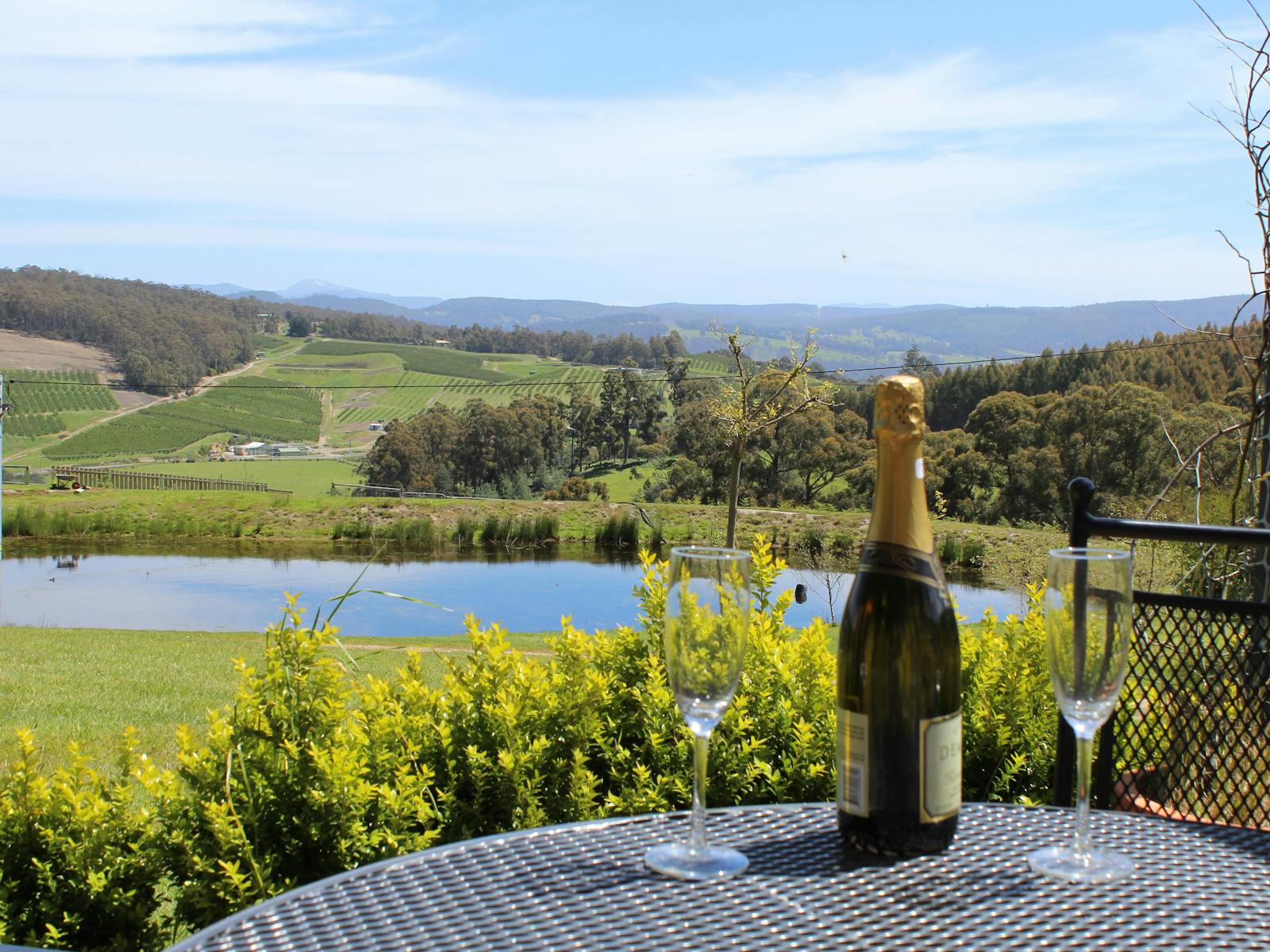 View of the orchards and the valley from the patio of the studio