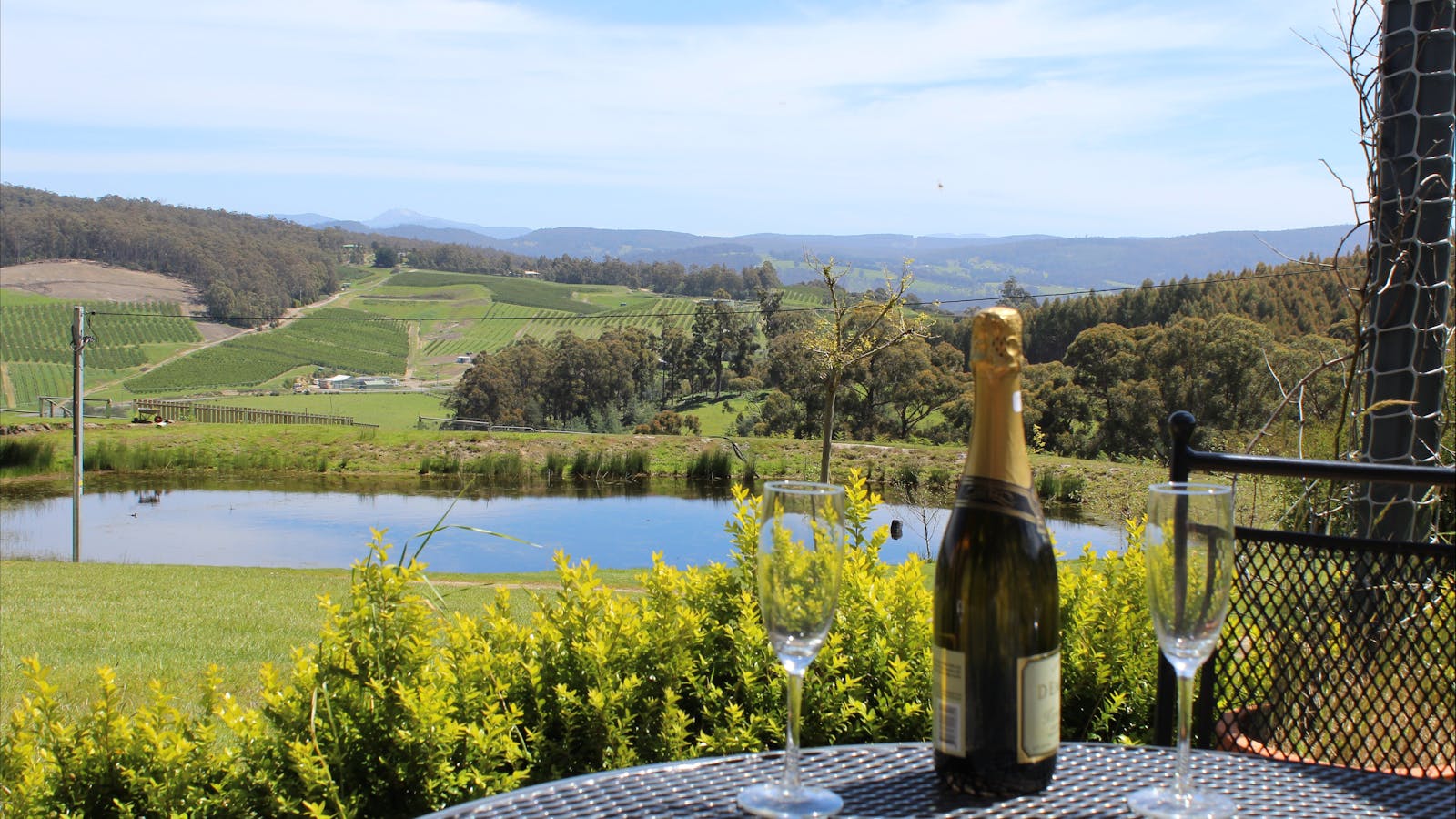 Relax out on the patio and take in the view of the orchards and the valley