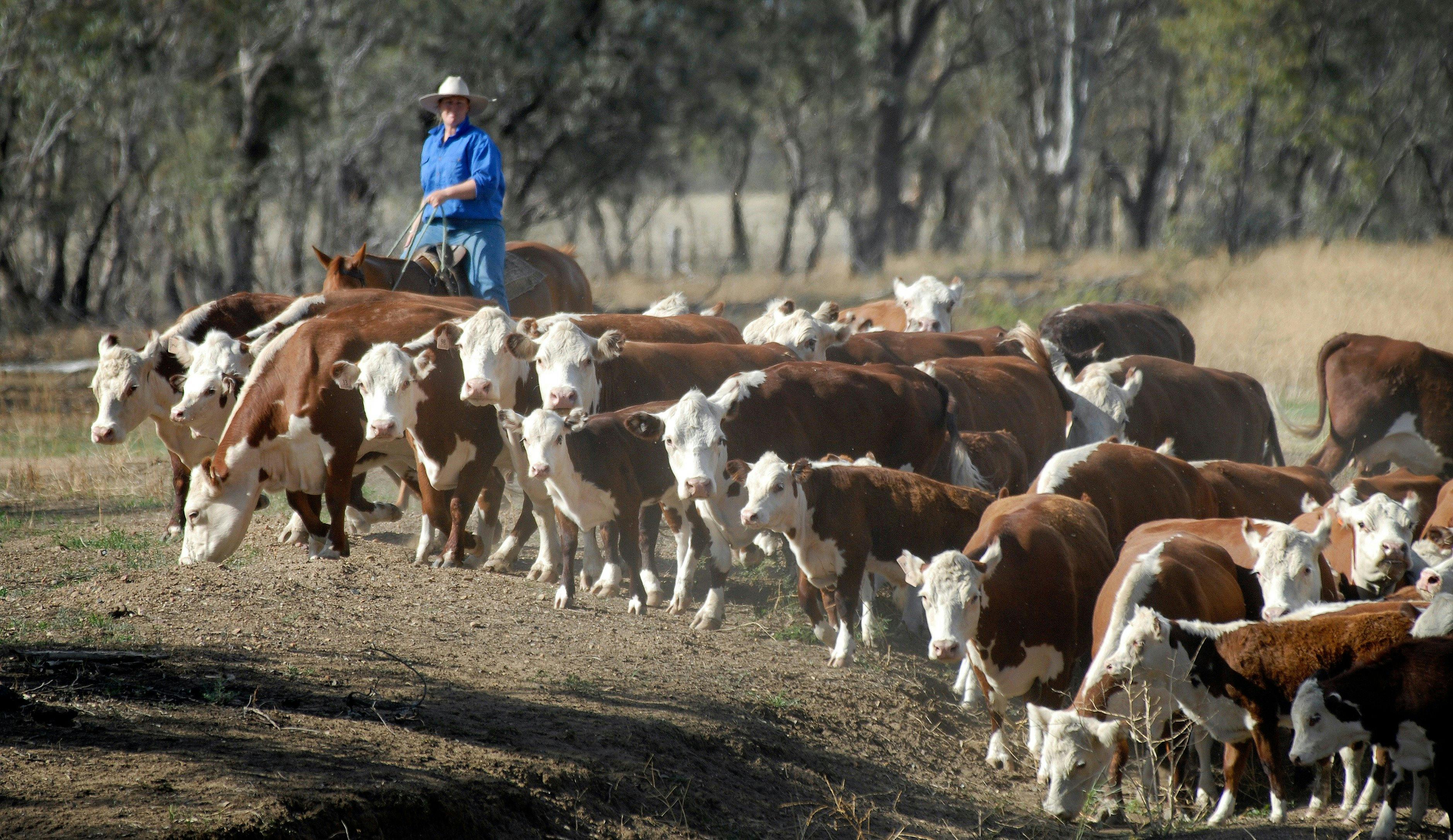 Gurley NSW Holidays & Things to Do, Attractions and Events