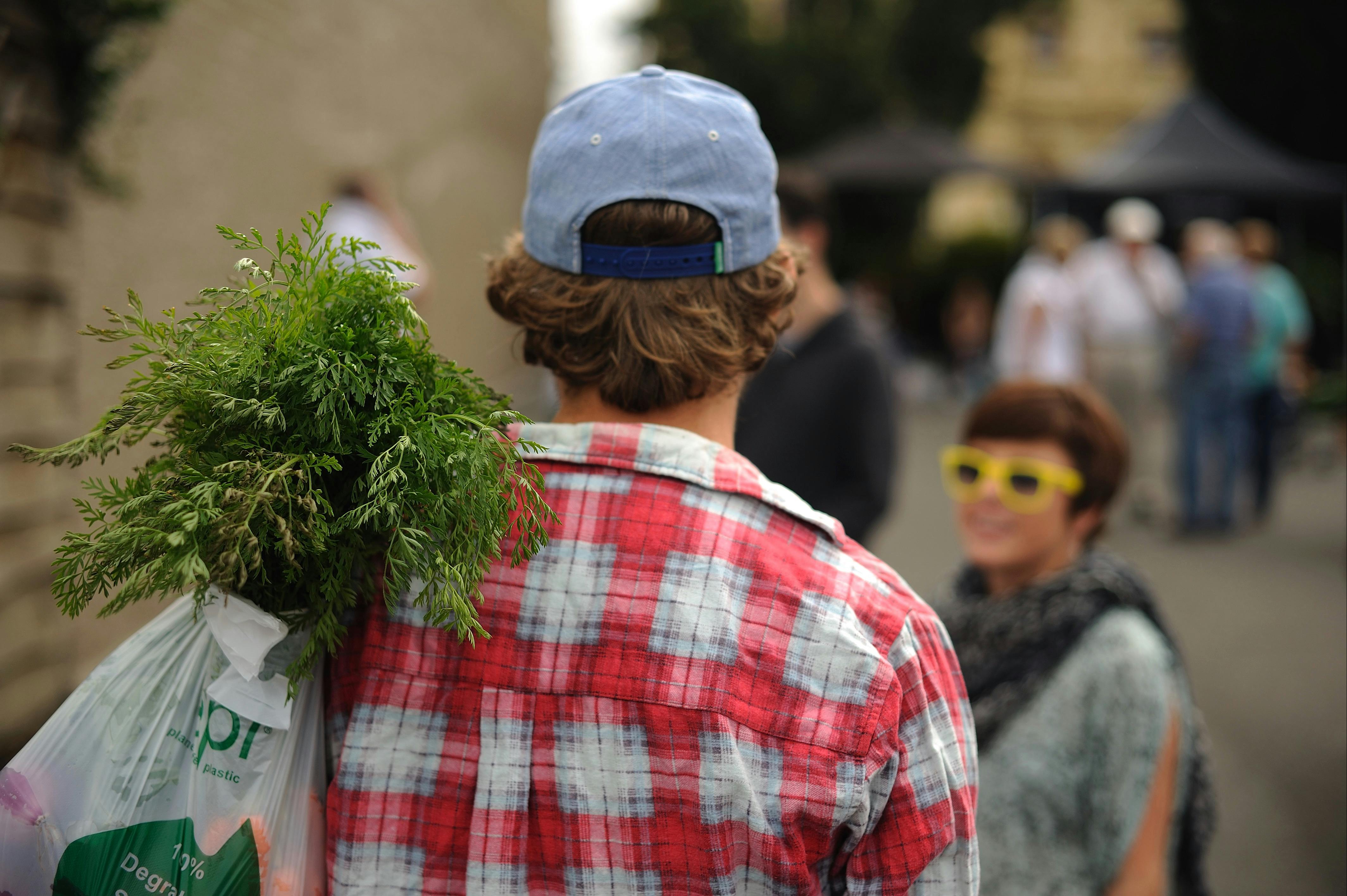 Bringing the Harvest home