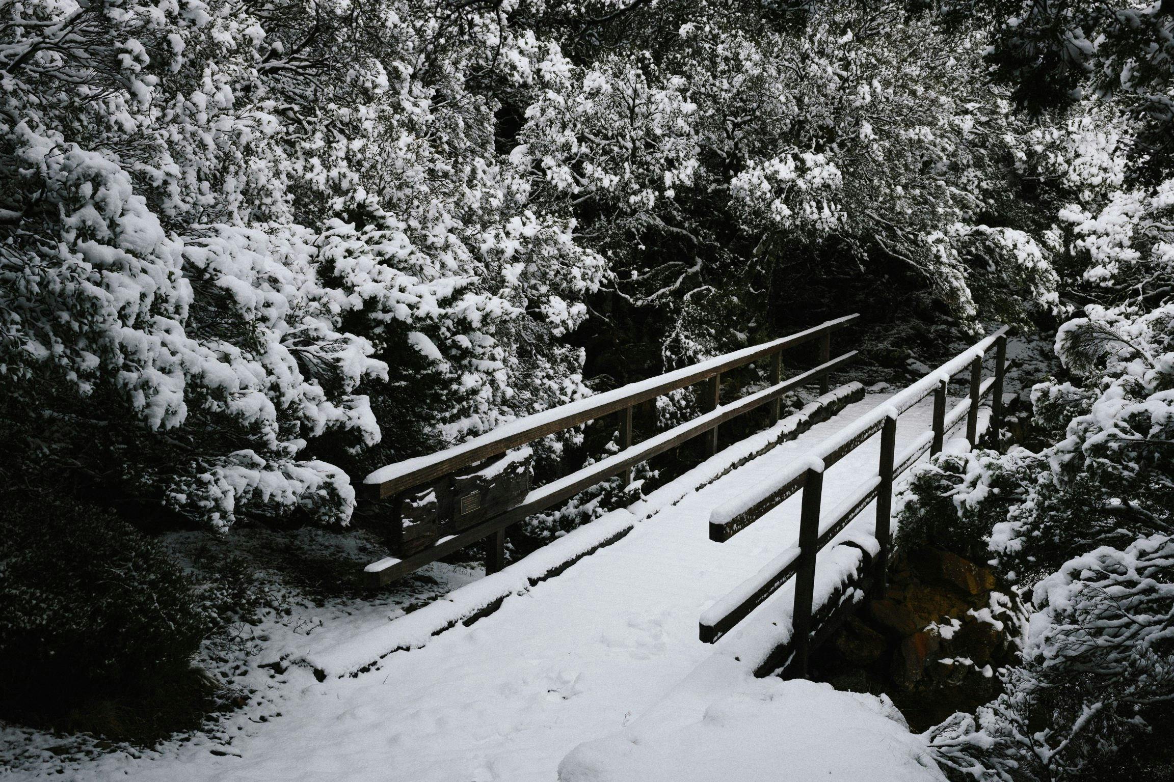 Snow covered bridge on Warners Track