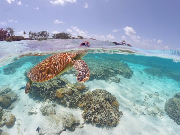 Great Barrier Reef