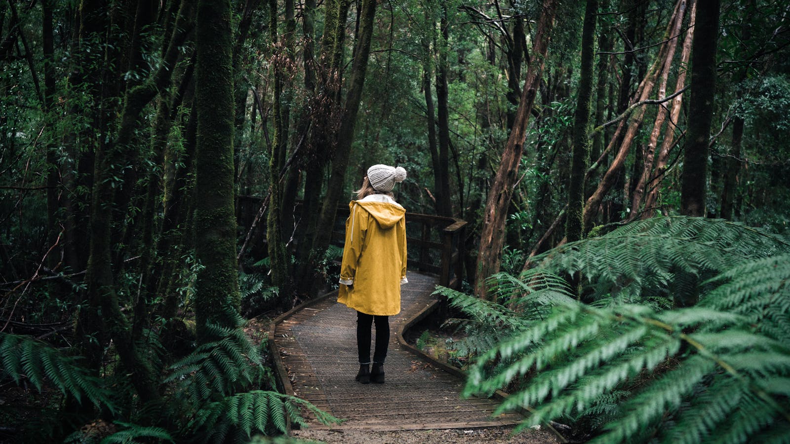 Walk to Nelson Falls