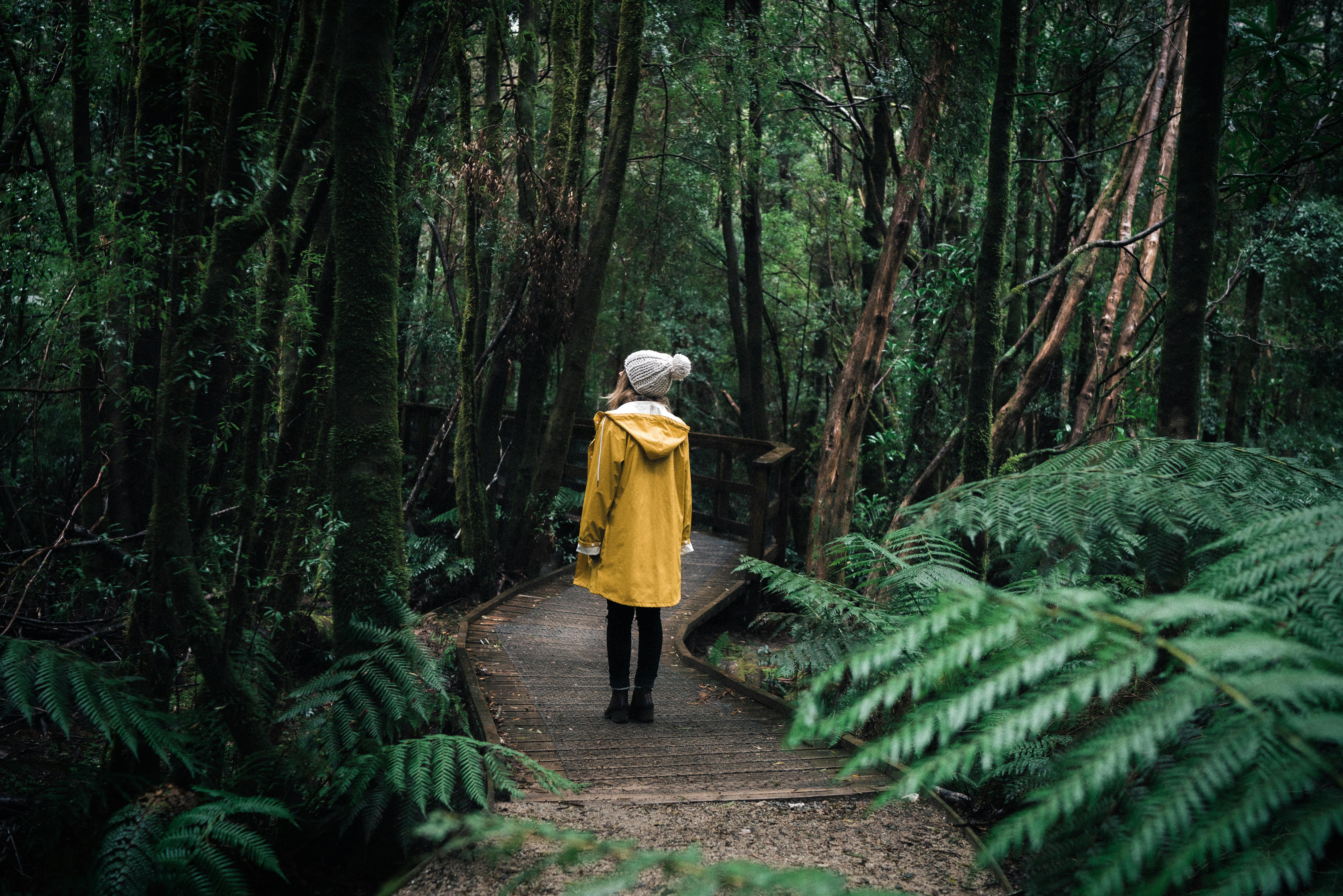 Walk to Nelson Falls