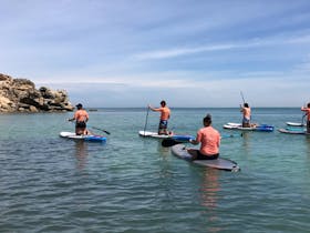 Paddlers sitting on boards heading over reef to view local stingrays.