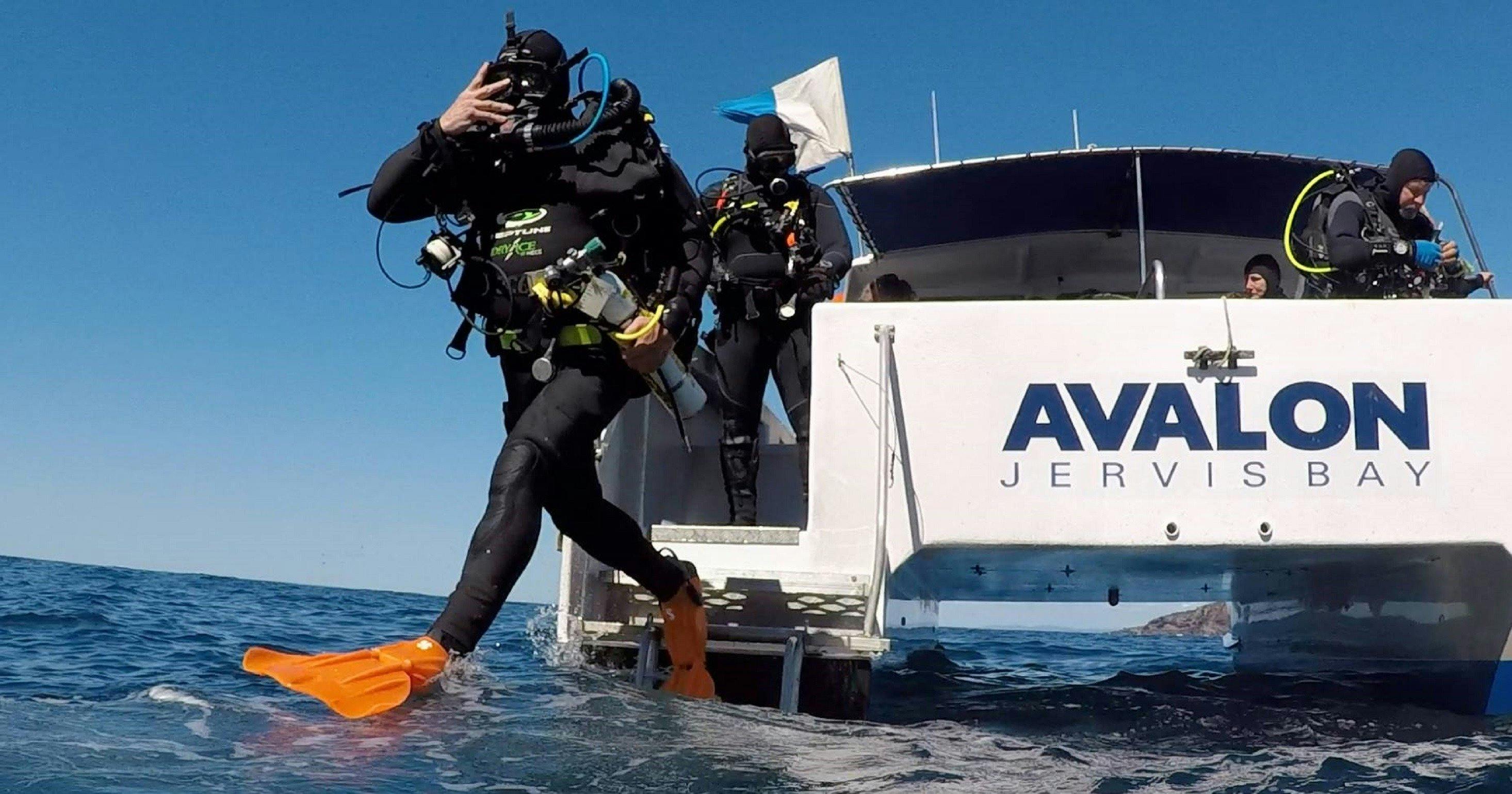 Dive Jervis Bay