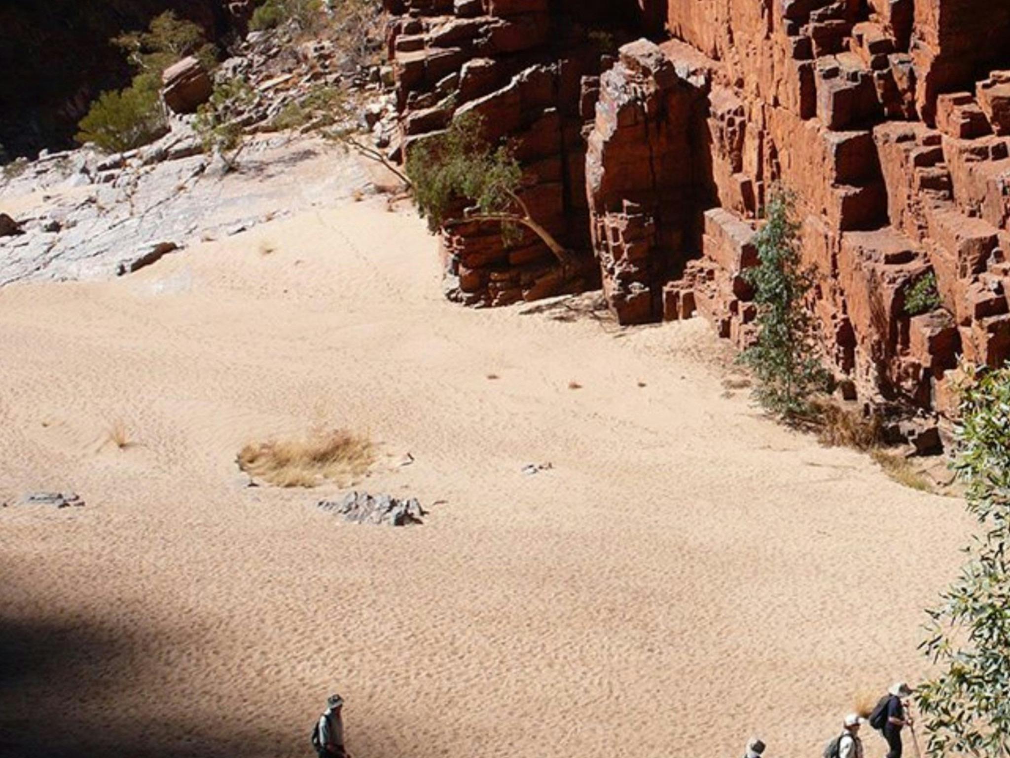 Alice Springs to Ormiston Gorge, Pound Walk & Ellery Big Hole