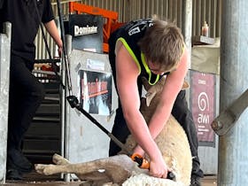 All Day Entertainment