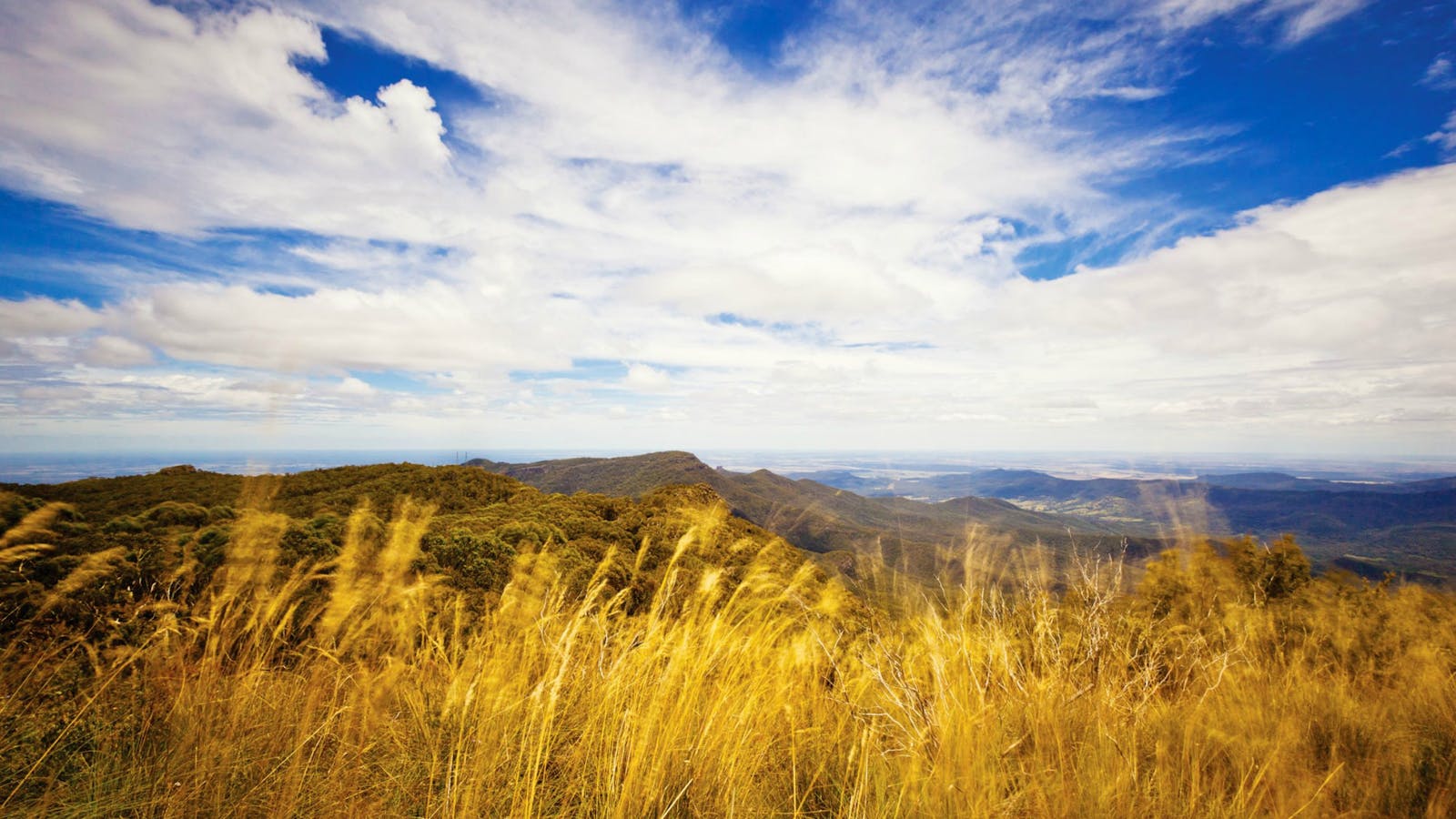 Mount Kaputar Summit Walk