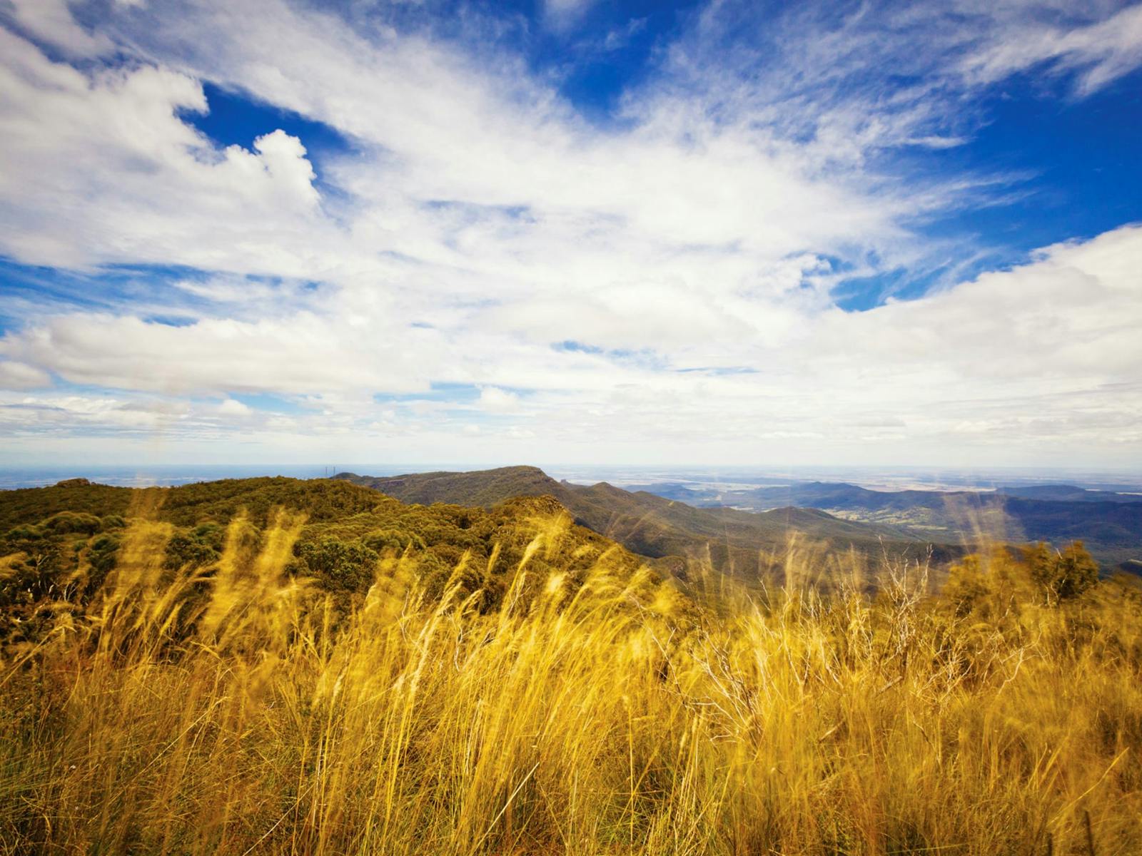 Blick vom Aussichtspunkt, Mount Kaputar Summit Walk. Foto: Rob Cleary Copyright: Regierung von NSW