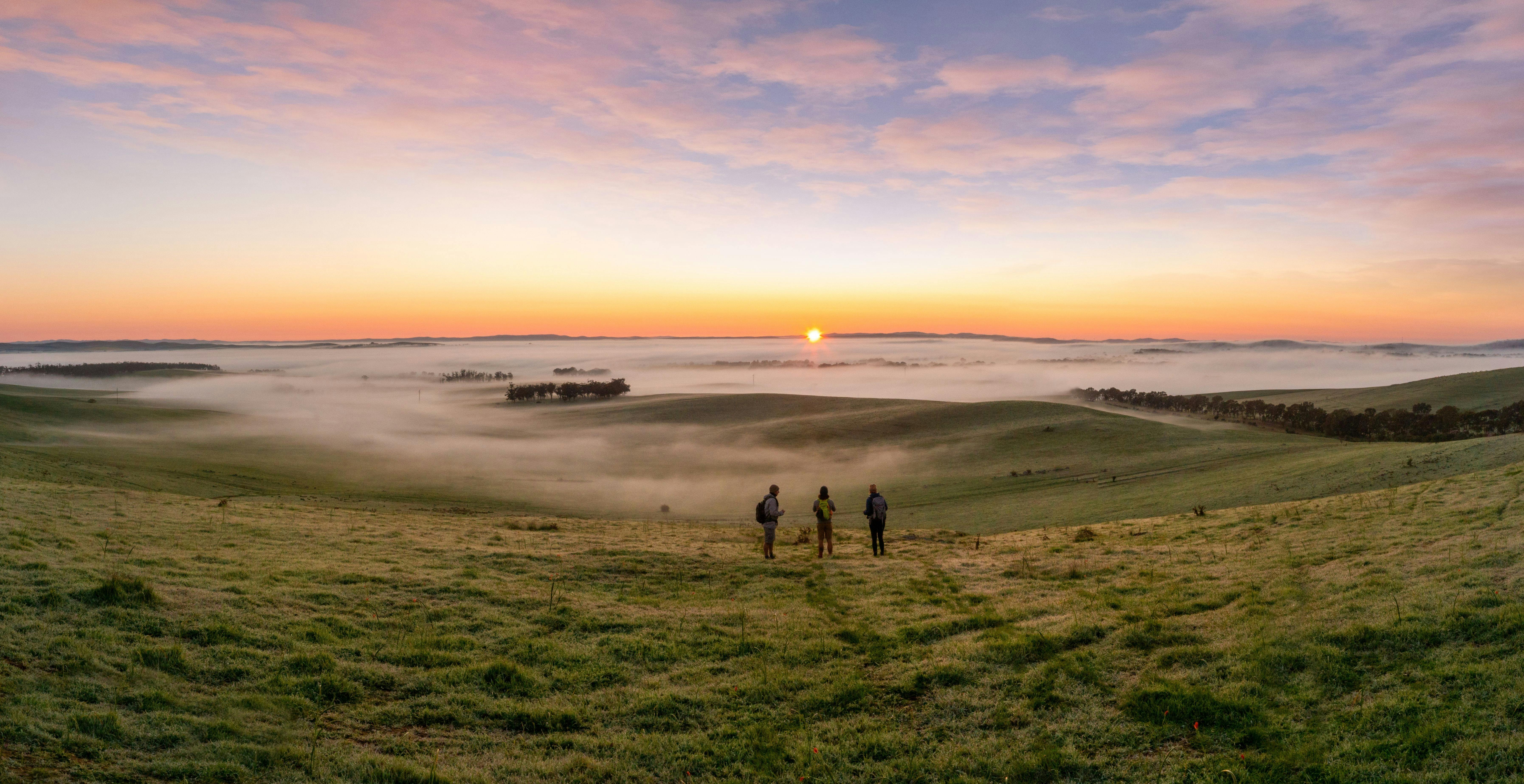 Clare Valley Wine and Wilderness Trail