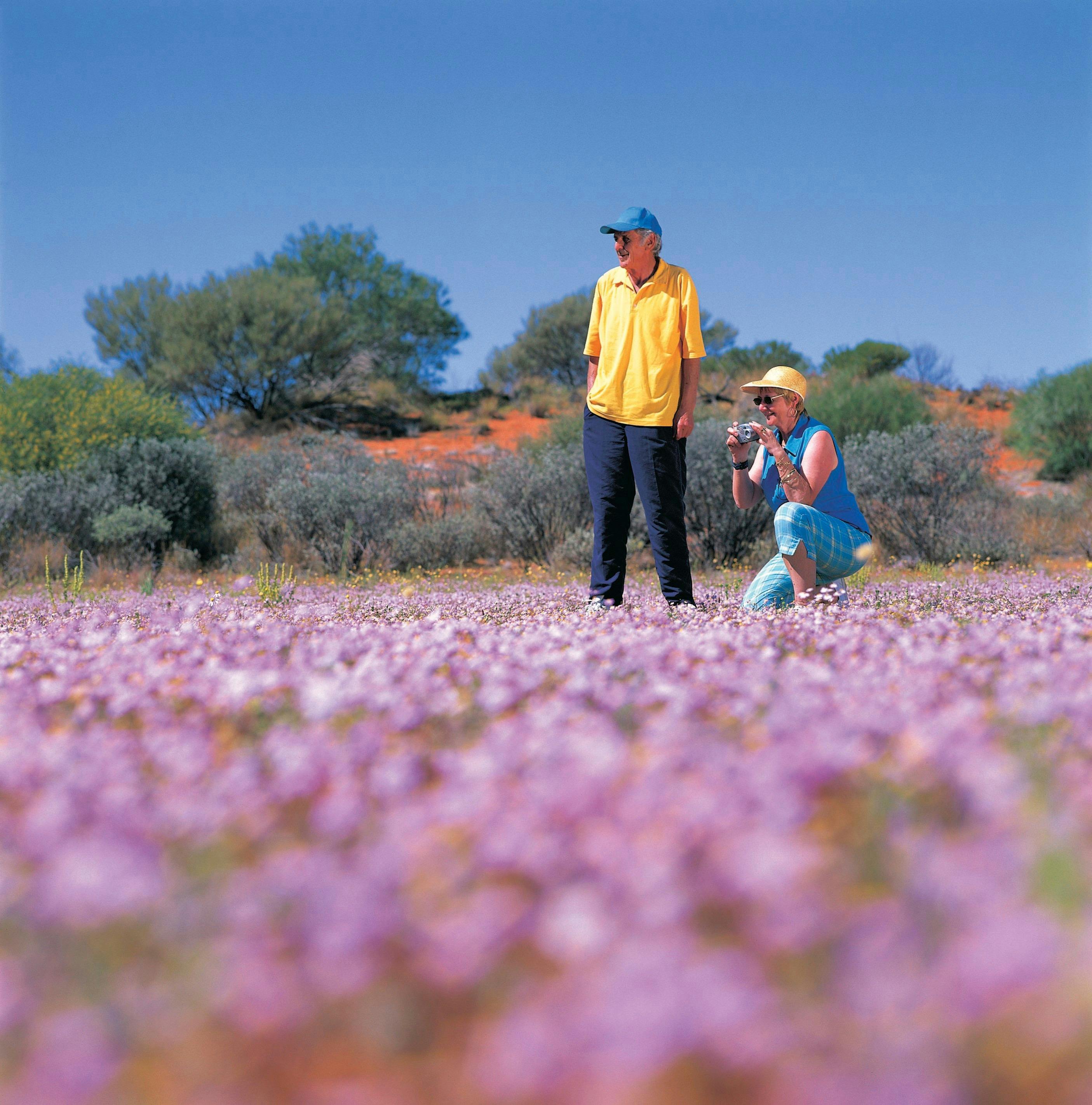 Best of Coral Coast, Carnarvon, Western Australia