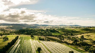 Surveyors Hill Vineyard Ariel Shot