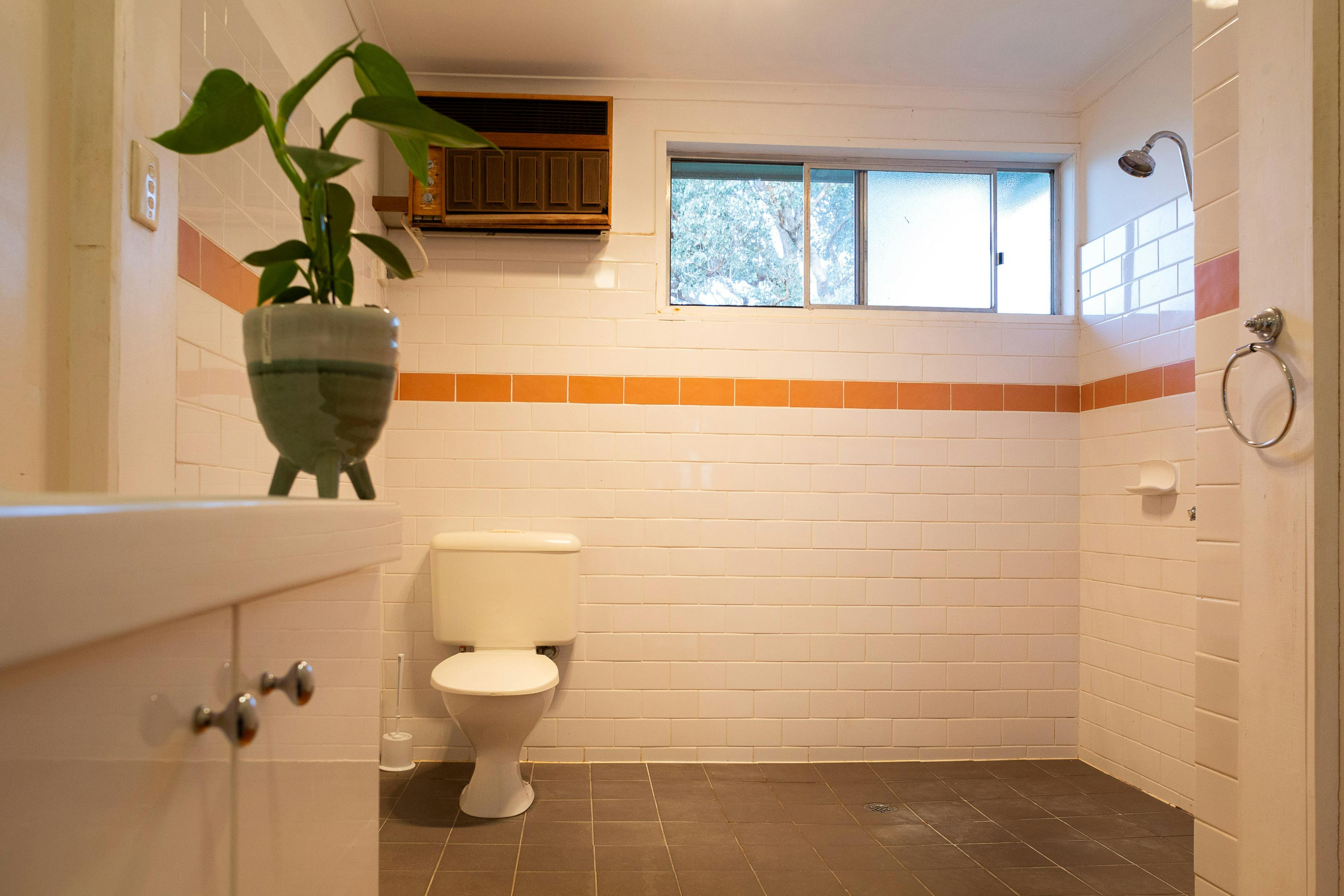 Views of Lake Eildon