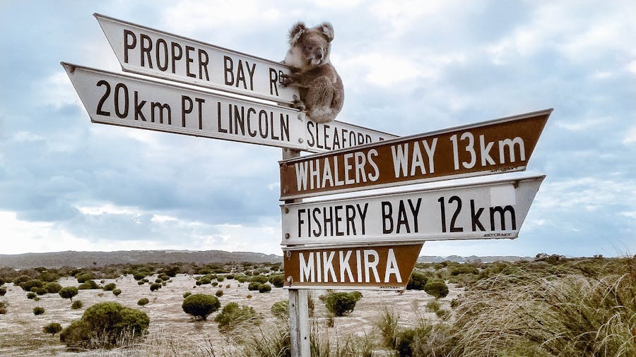 1 Day Port Lincoln Tour - Tasting Eyre