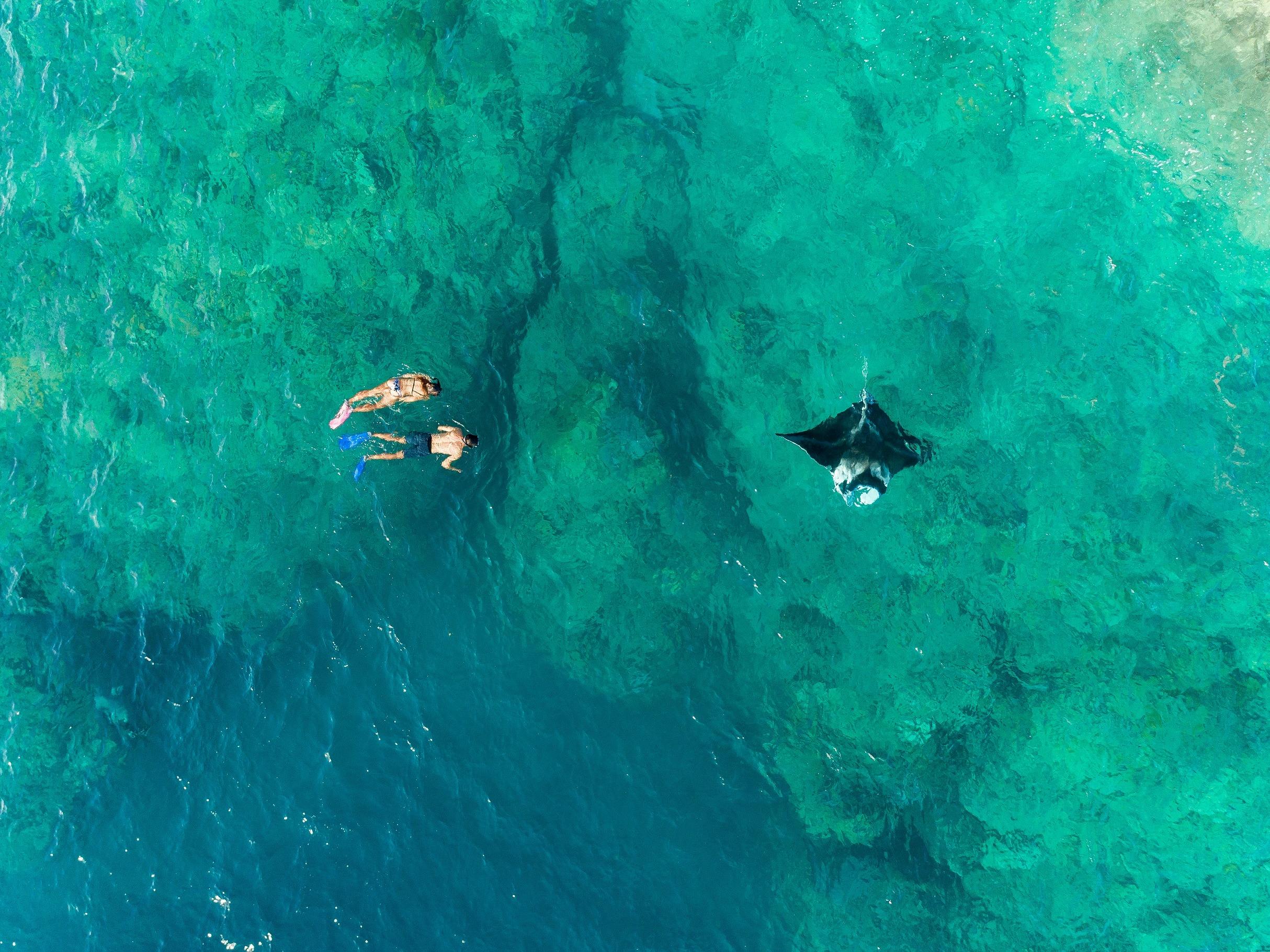 Luncheon Bay Dive Site