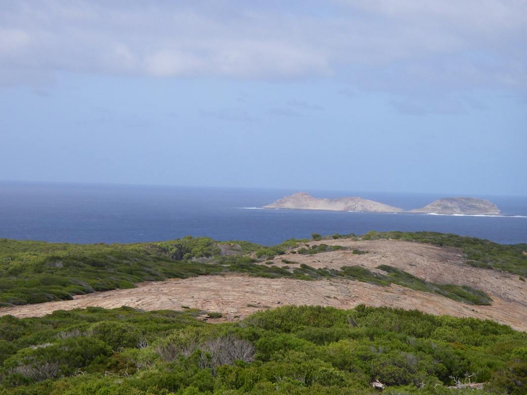 Middle Island in the Recherche Archipelago