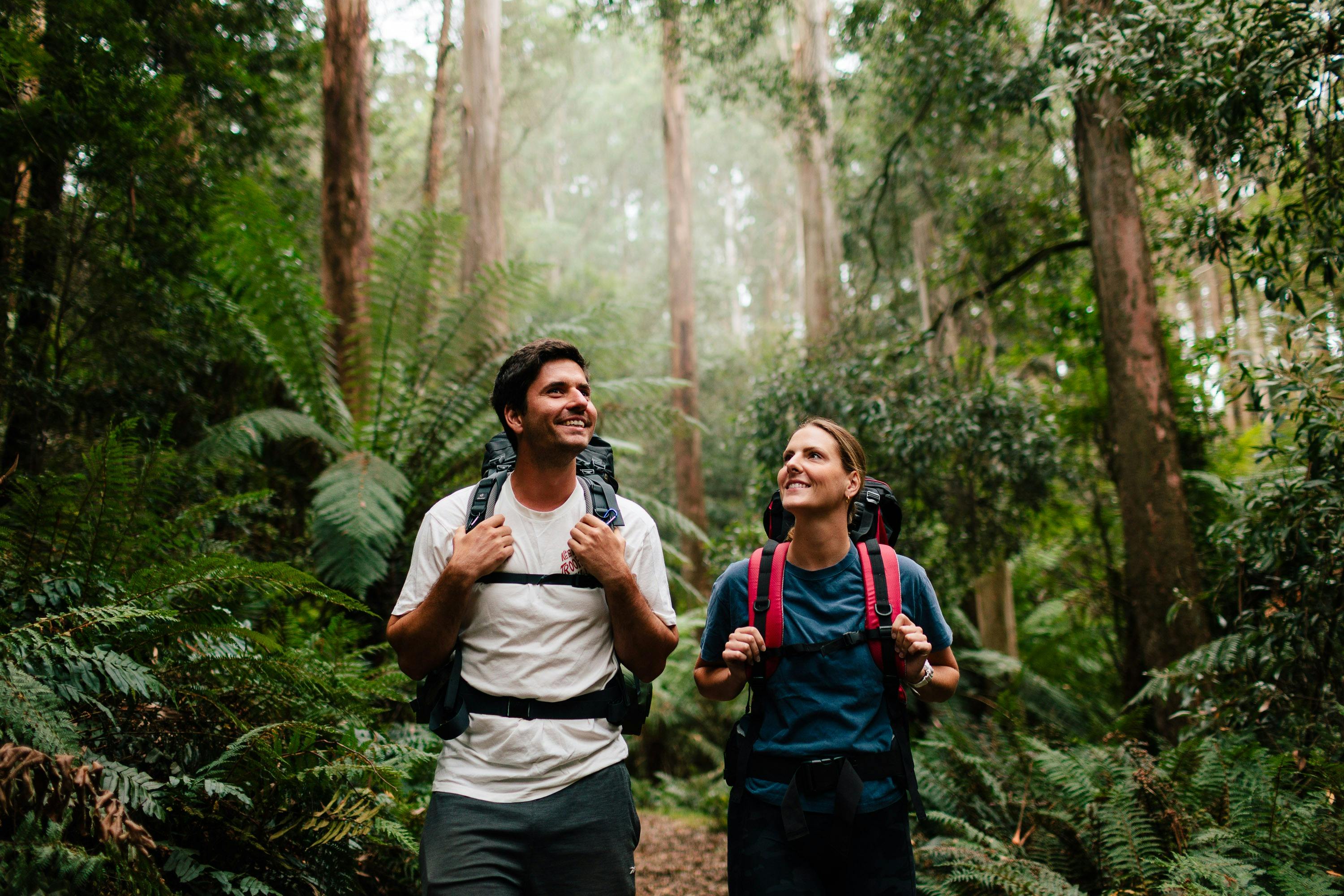 Starlings Gap Campground