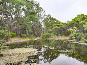 Greenrise Recreational Reserve Penola