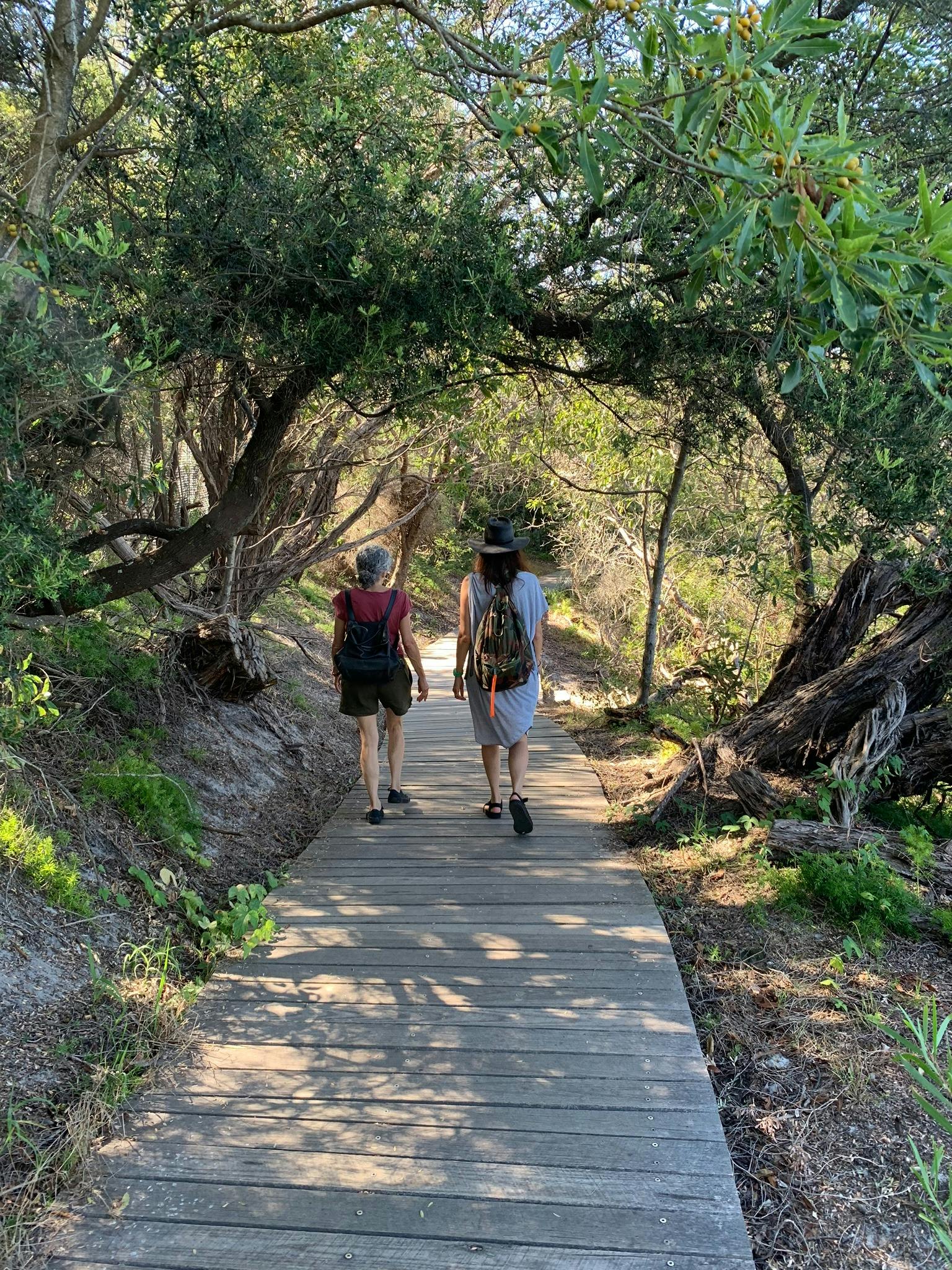 のどかな茂みの散歩