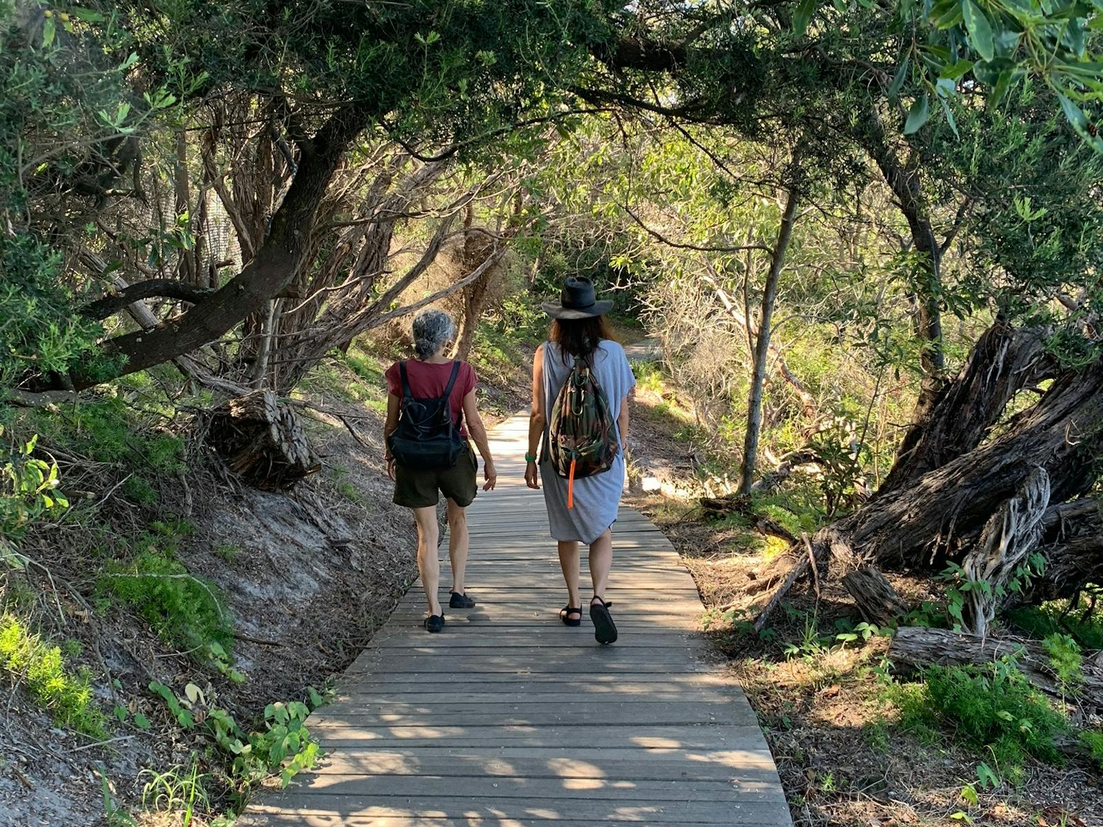 목가적인 부시 산책