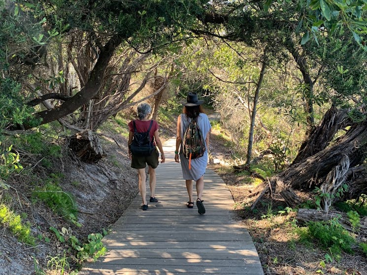 Idyllic bush strolls