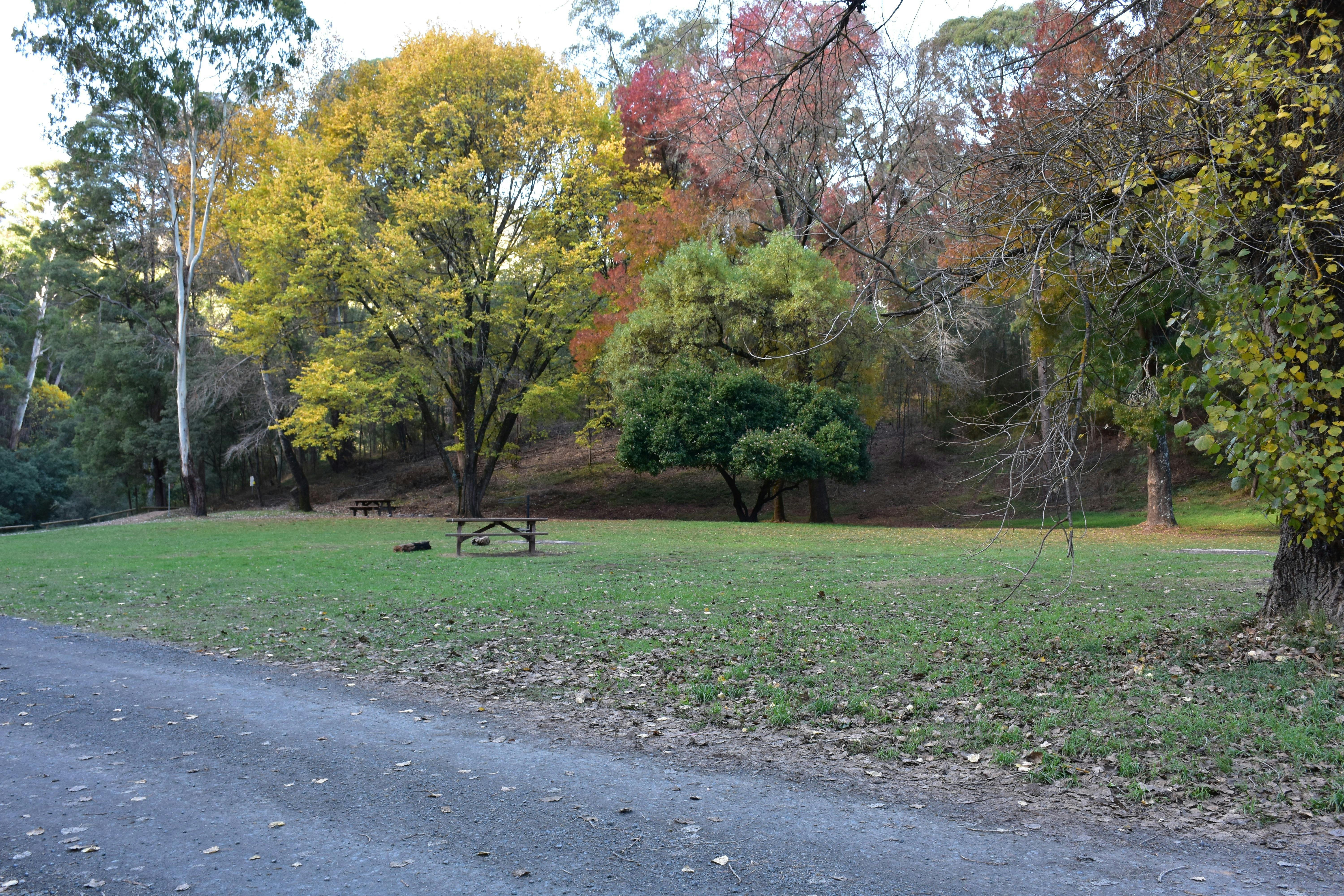 Gravel track and grassy area with a picnic table