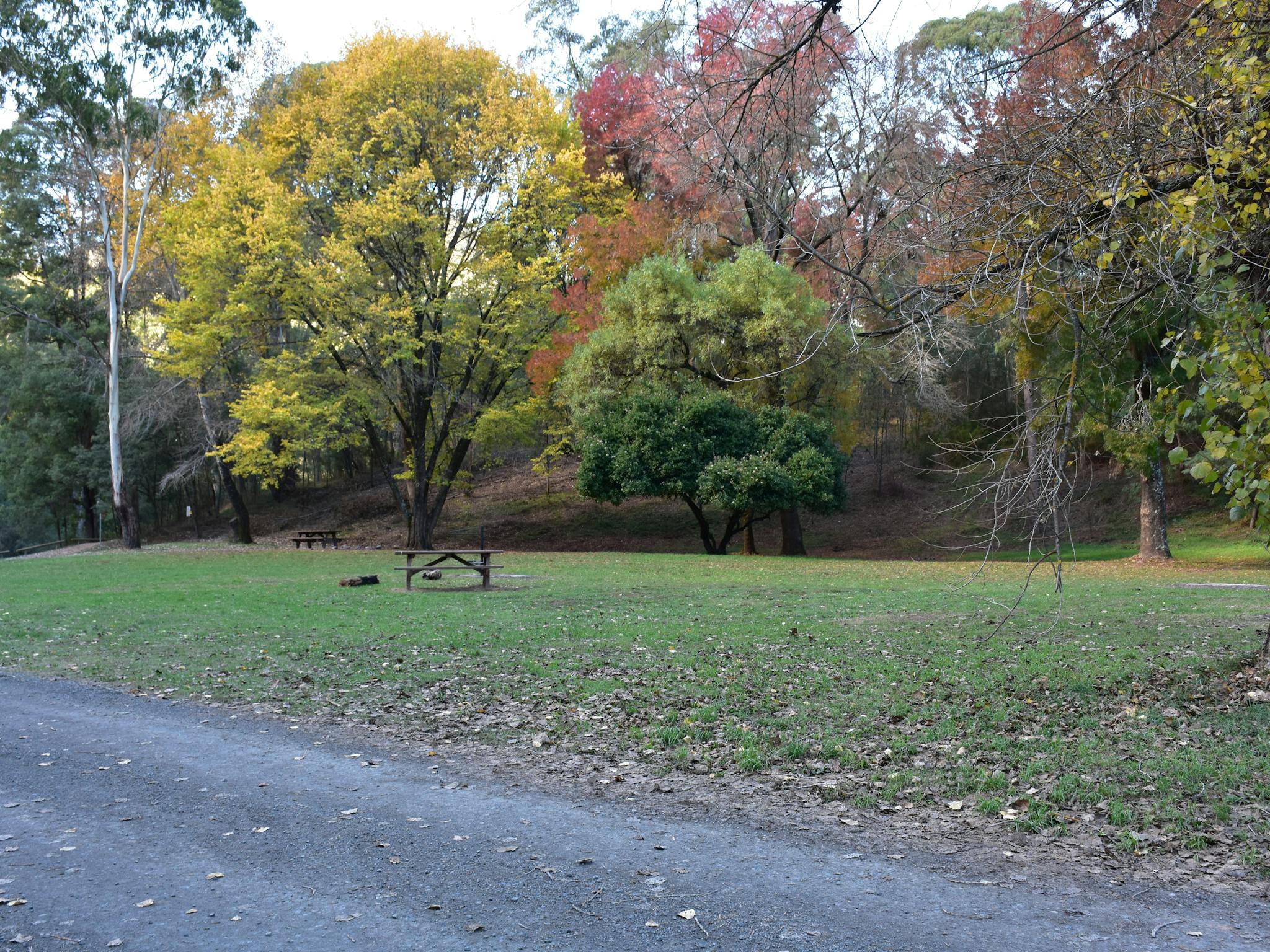 Gravel track and grassy area with a picnic table