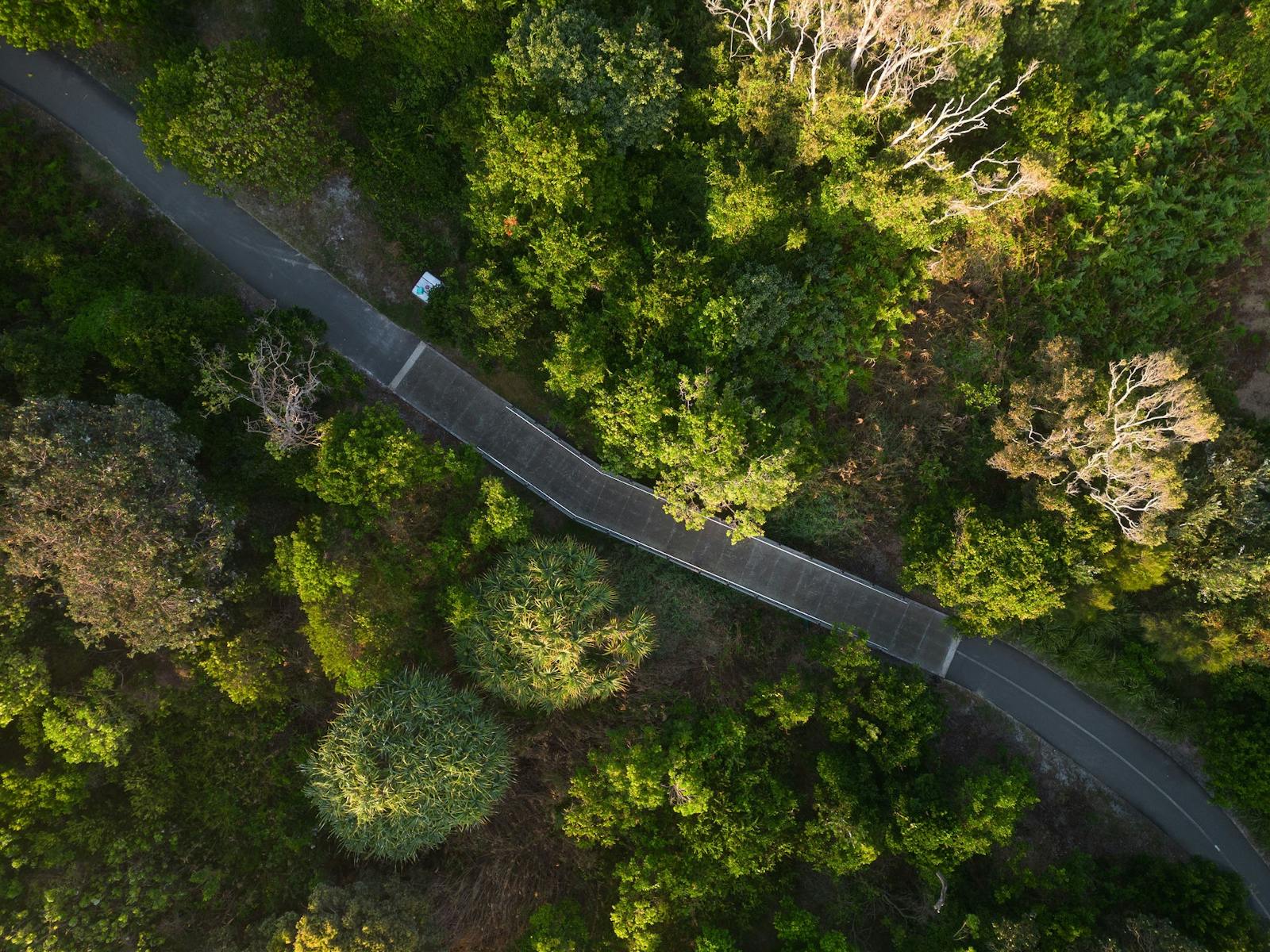 Aerial view of coastal path in Ballina