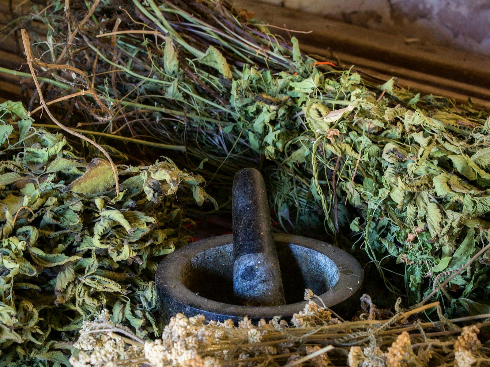 Paxton Wines Biodynamic Tour & Taste Experience