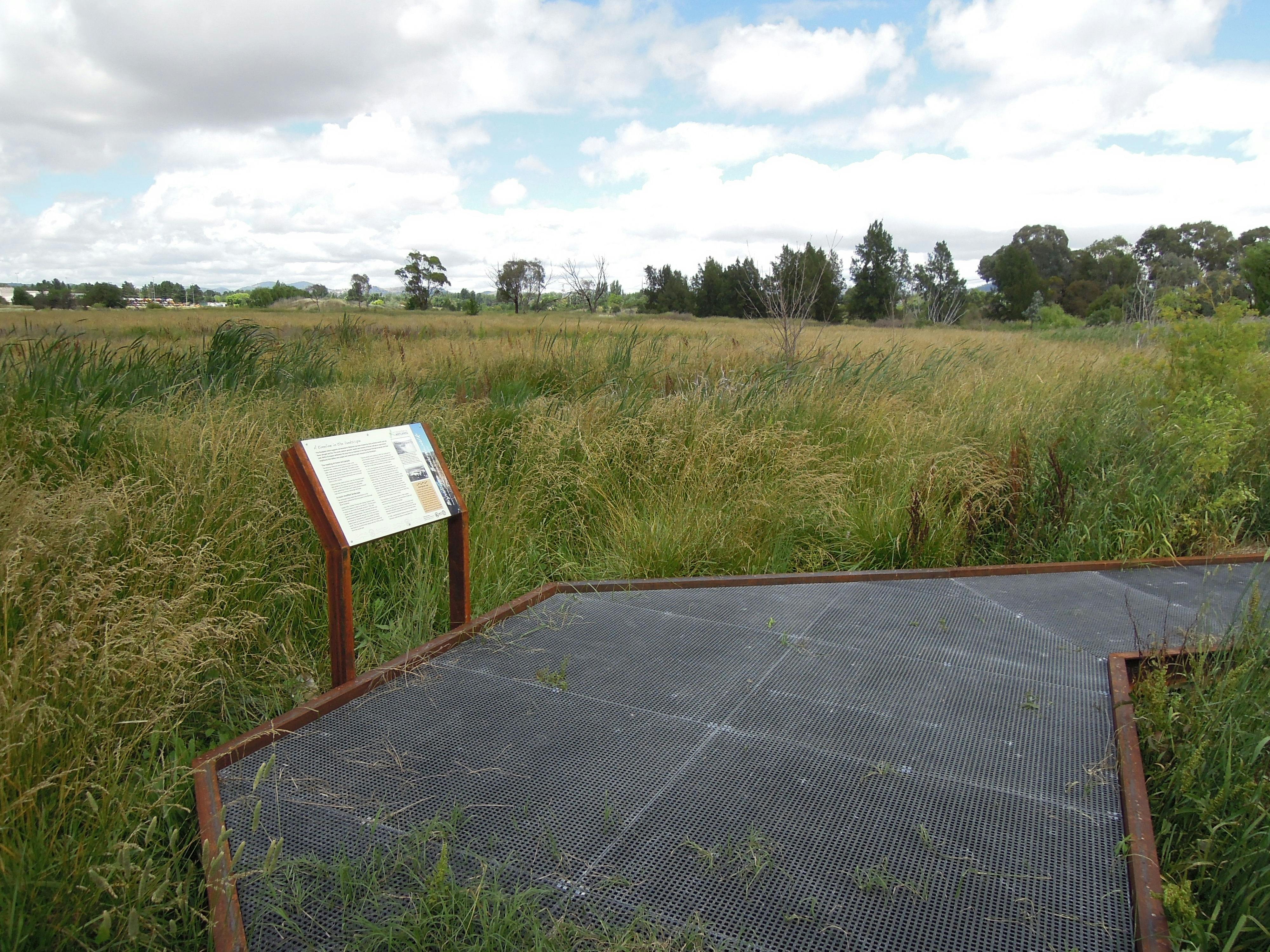 Jerrabomberra Wetlands Boardwalk Kelly's Swamp