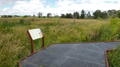 Jerrabomberra Wetlands Boardwalk Kelly's Swamp