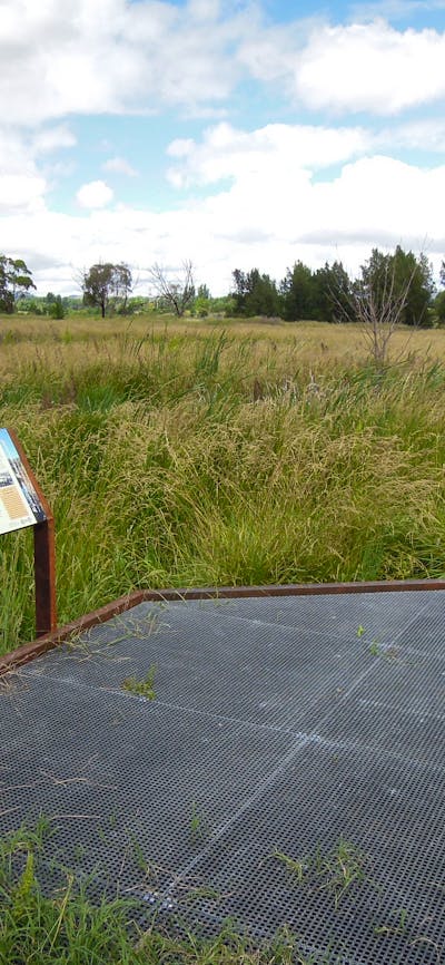 Jerrabomberra Wetlands Boardwalk Kelly's Swamp