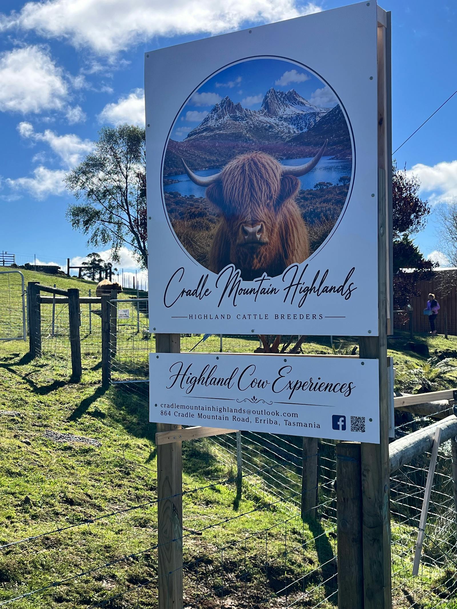 Cradle Mountain Highlands (Highland Cow Experiences)