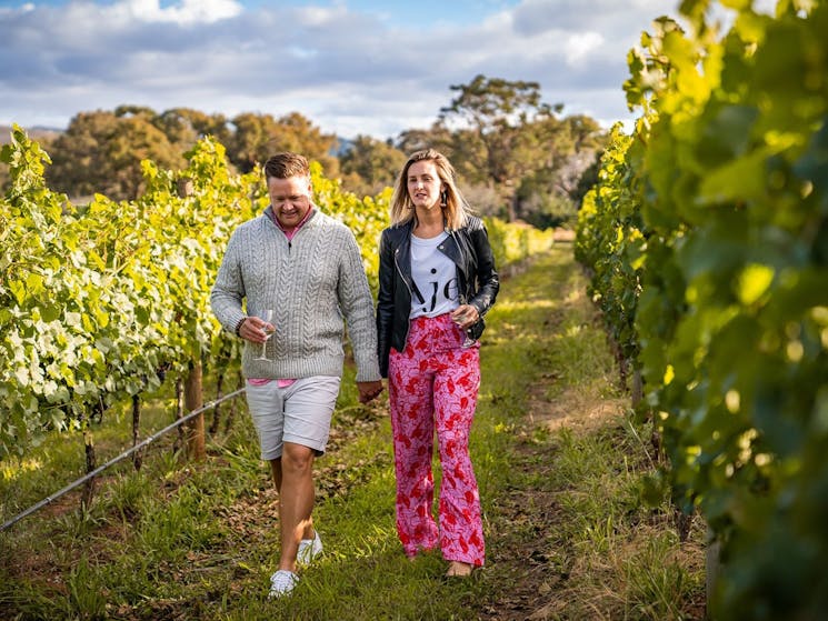 A couple walking in the vineyard