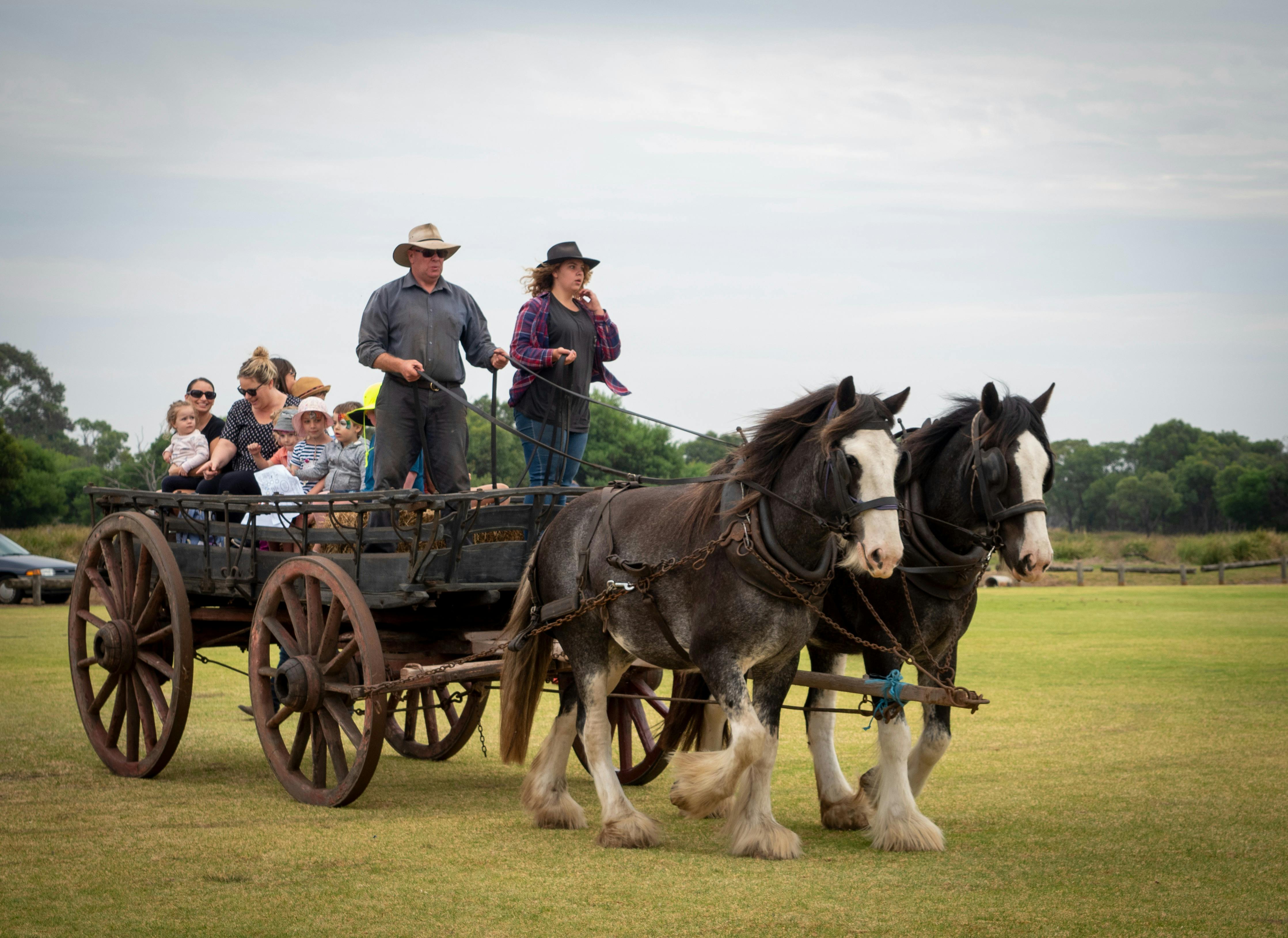 Families enjoying a traditional horse-drawn wagon ride at the Bellarine Agricultural Show.