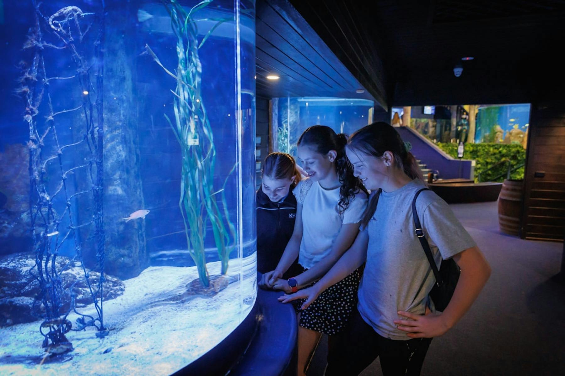 Aquarium