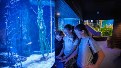 Aquarium