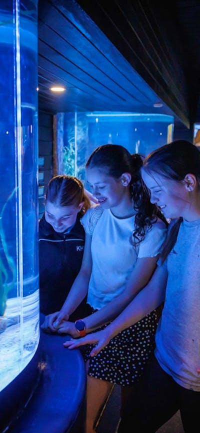 Aquarium