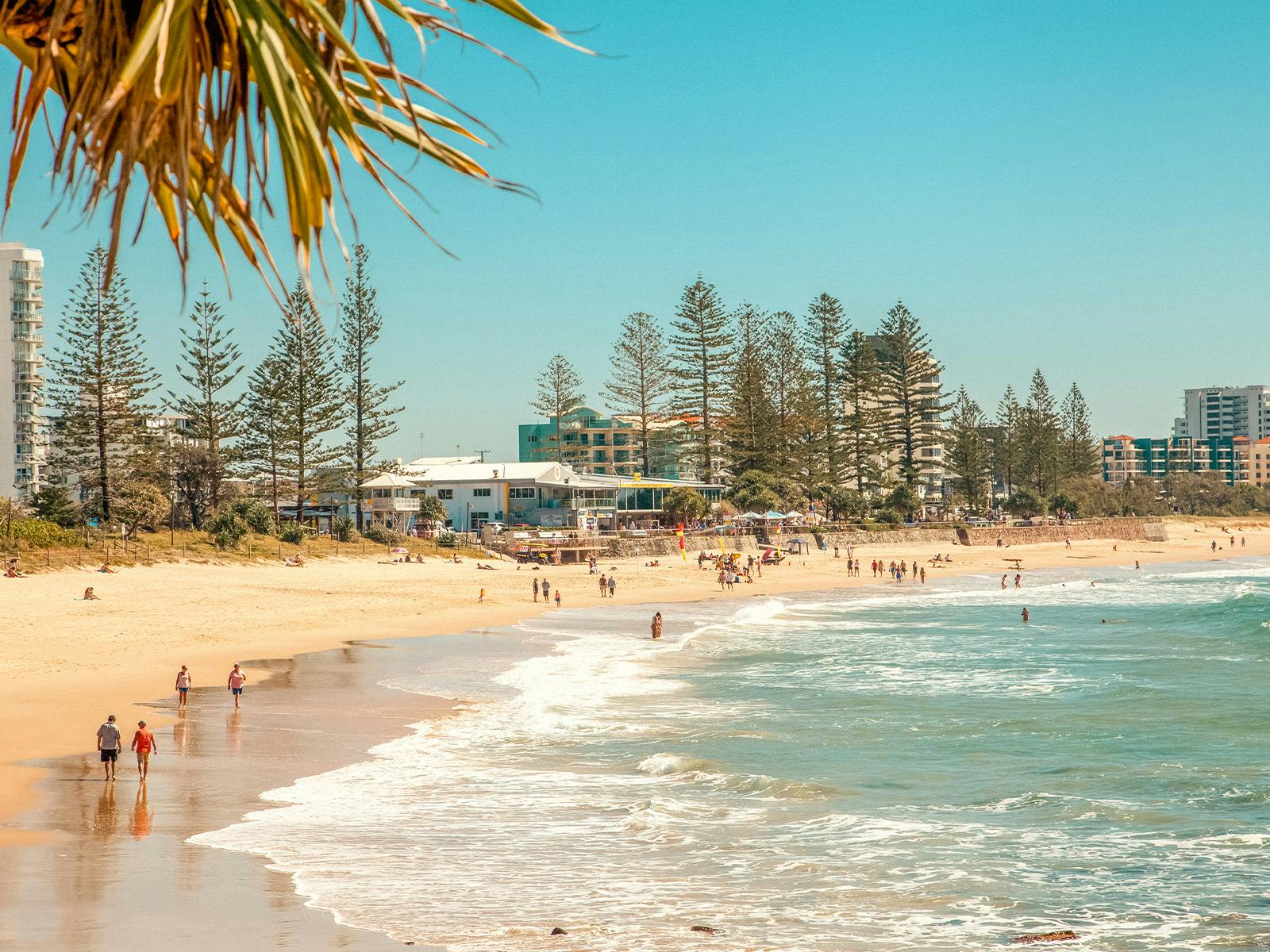 Looking north from the pandanus trees at Alexandra Headland Beach corner, Sunshine Coast.