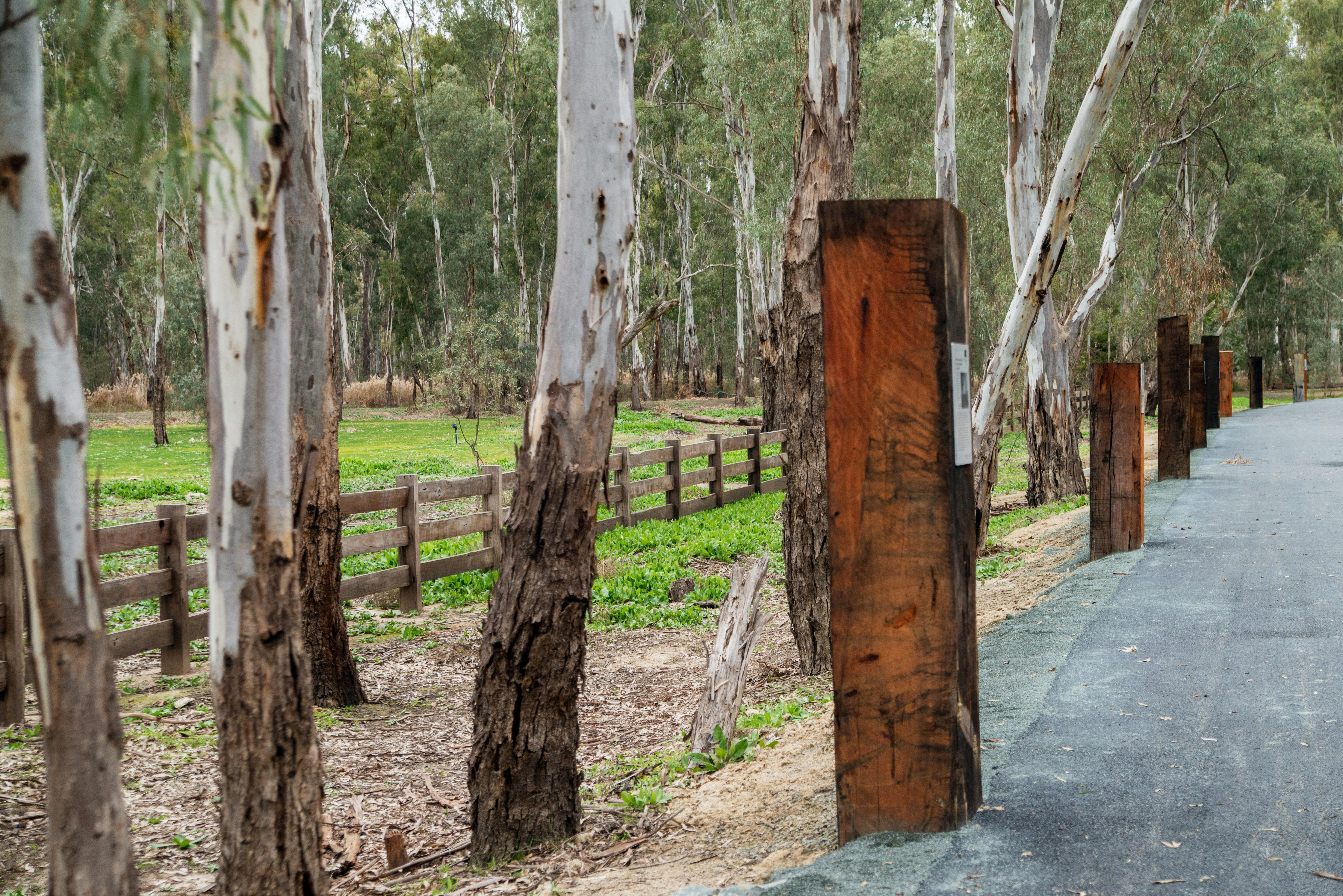情報を描いた赤いガムの柱のある森の散歩