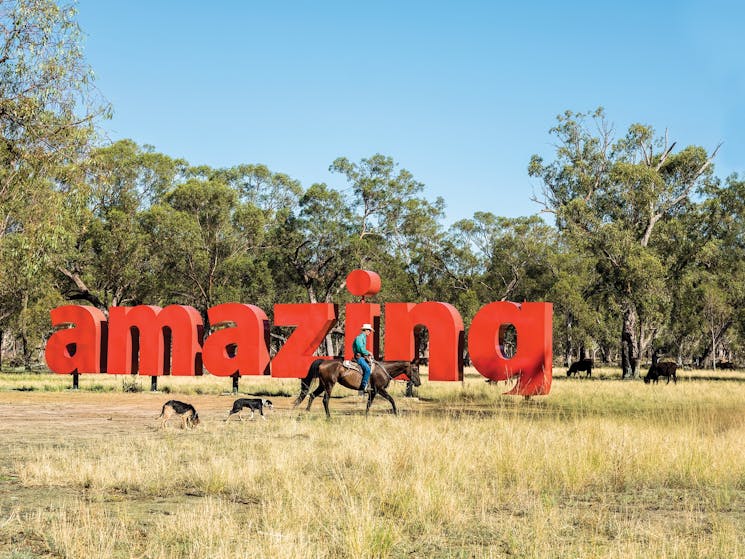 Amazing Sign Sculpture Down the Lachlan