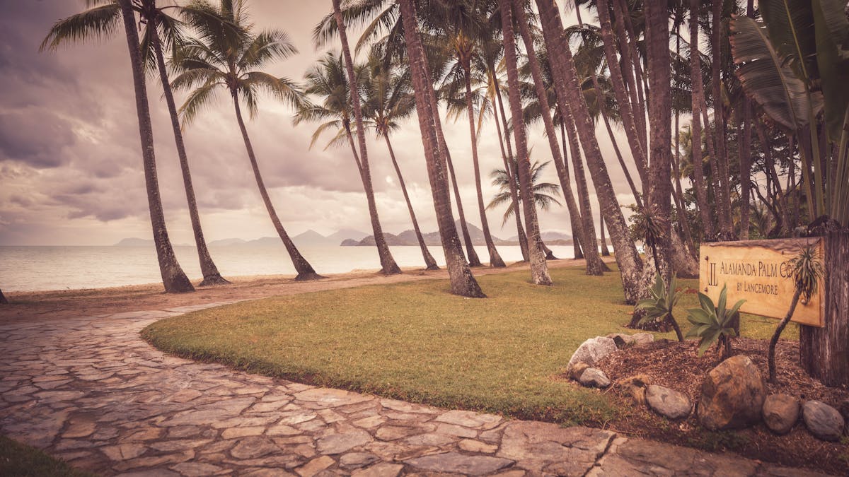 Tropical palm trees lining the beachfront at Palm Cove QLD with ocean views, coastal pathway.
