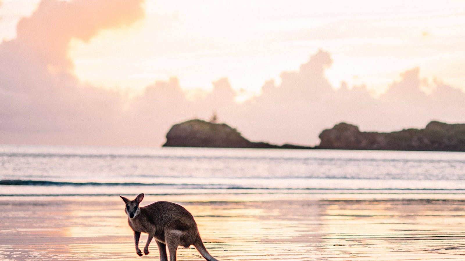 Cape Hillsborough – A Low Tide Fishing Adventure