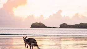 Cape Hillsborough – A Low Tide Fishing Adventure