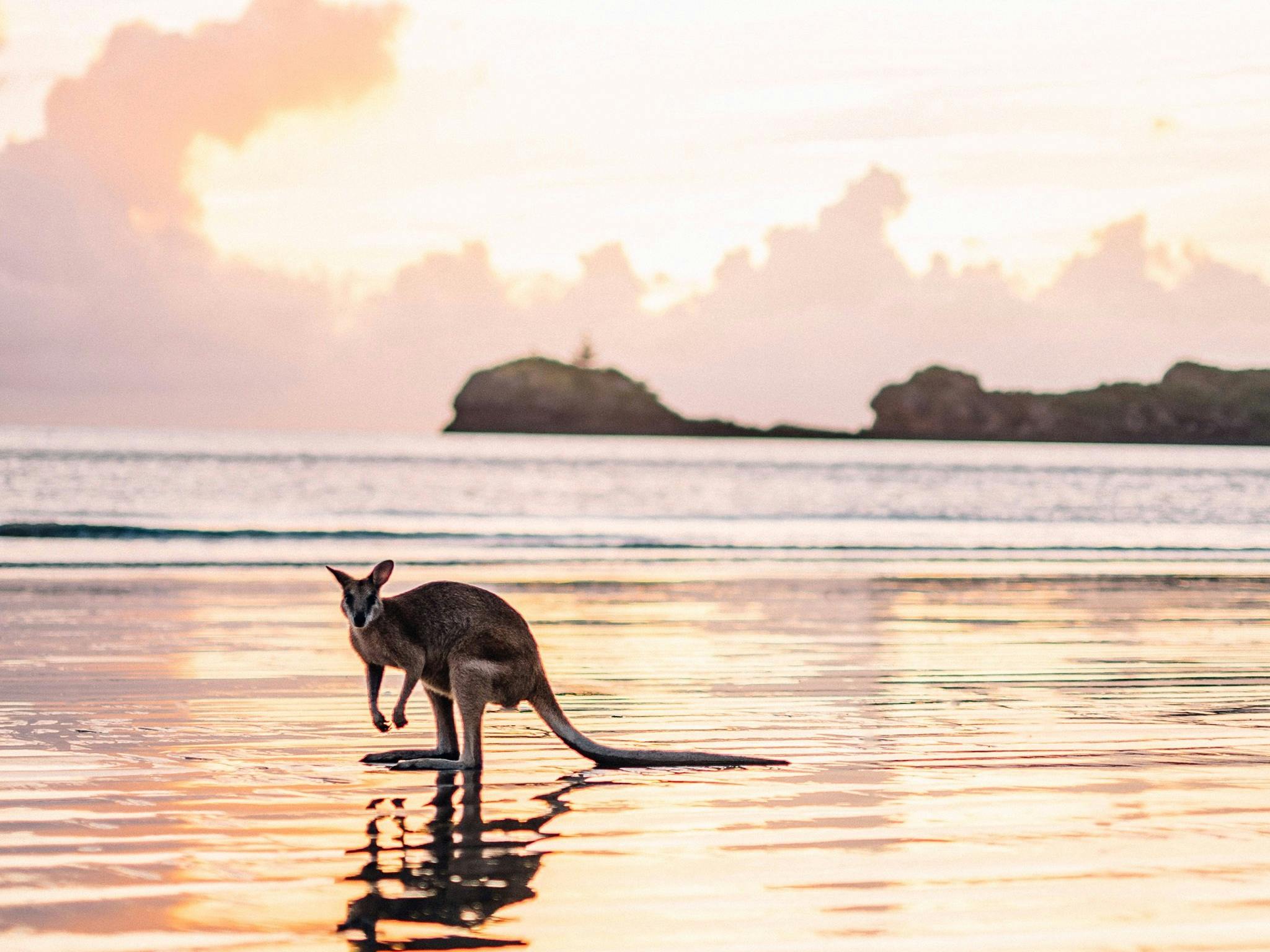 Cape Hillsborough – A Low Tide Fishing Adventure Cape Hillsborough – A Low Tide Fishing Adventure